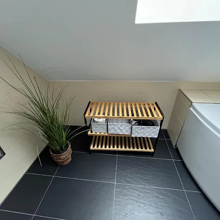 Modernes Loft Mit Holzbalken Und Charme Bautzen
