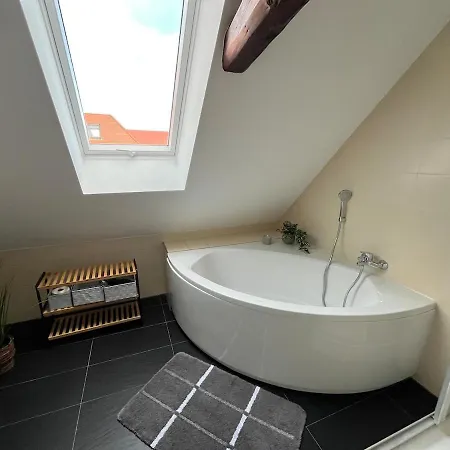 Modernes Loft Mit Holzbalken Und Charme Bautzen